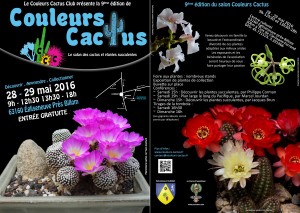 Affiche Couleurs Cactus 2016 internet recto et verso