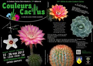 Affiche Couleurs Cactus 2017 internet recto et verso