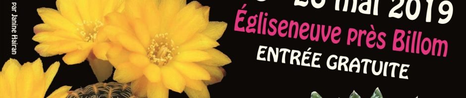 Affiche Couleurs Cactus 2019 recto