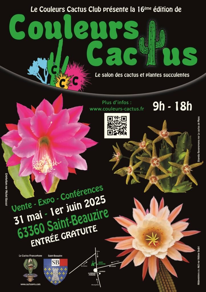 Affiche Couleurs Cactus 2025 internet